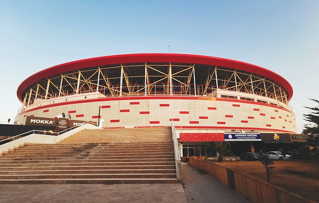 際足聯組織 際足聯組織