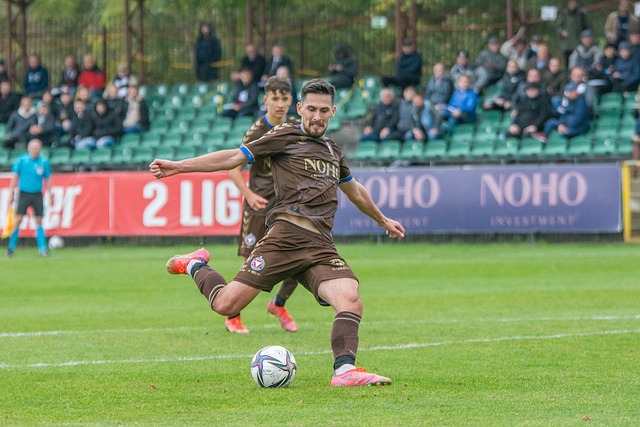 在评价他的 在评价他的